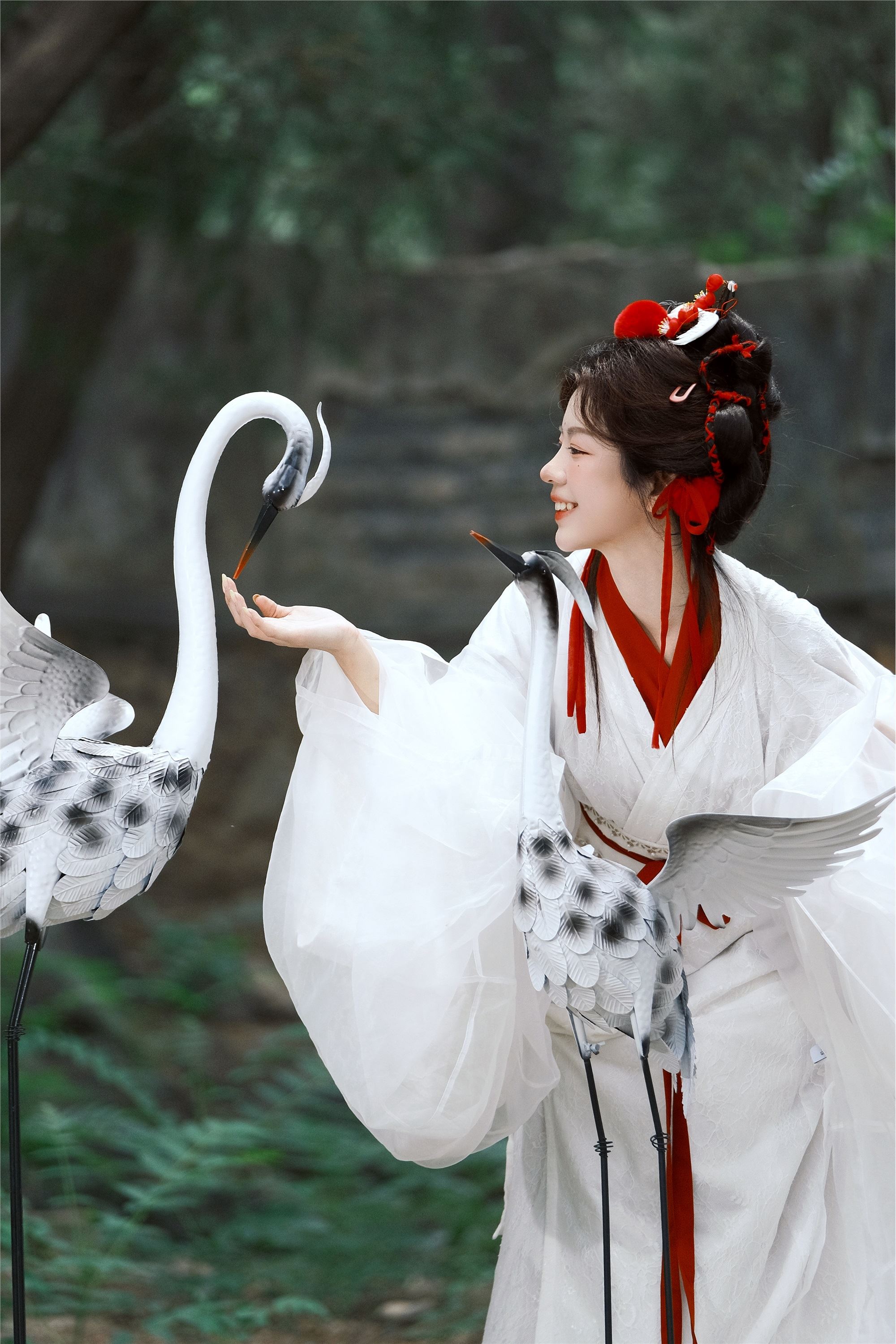 YITUYU艺图语 2025.02.05 鹤 整整